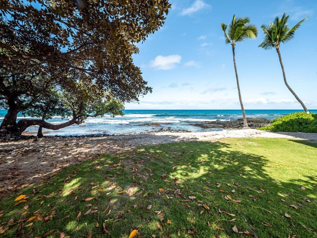 Oceanfront 1 Bedroom 2 Bathroom With Large Lanai - Kona Bali Kai 218 Kailua-Kona Exterior photo